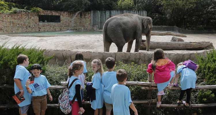 visiting zoo with kids