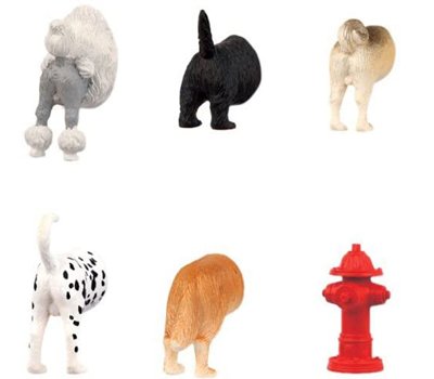 Kikkerland Dog Butts Animal Magnets, Set of 6 (MG17)