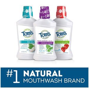 Tom's of Maine Long Lasting Wicked Fresh Cool Mountain Mouth Wash