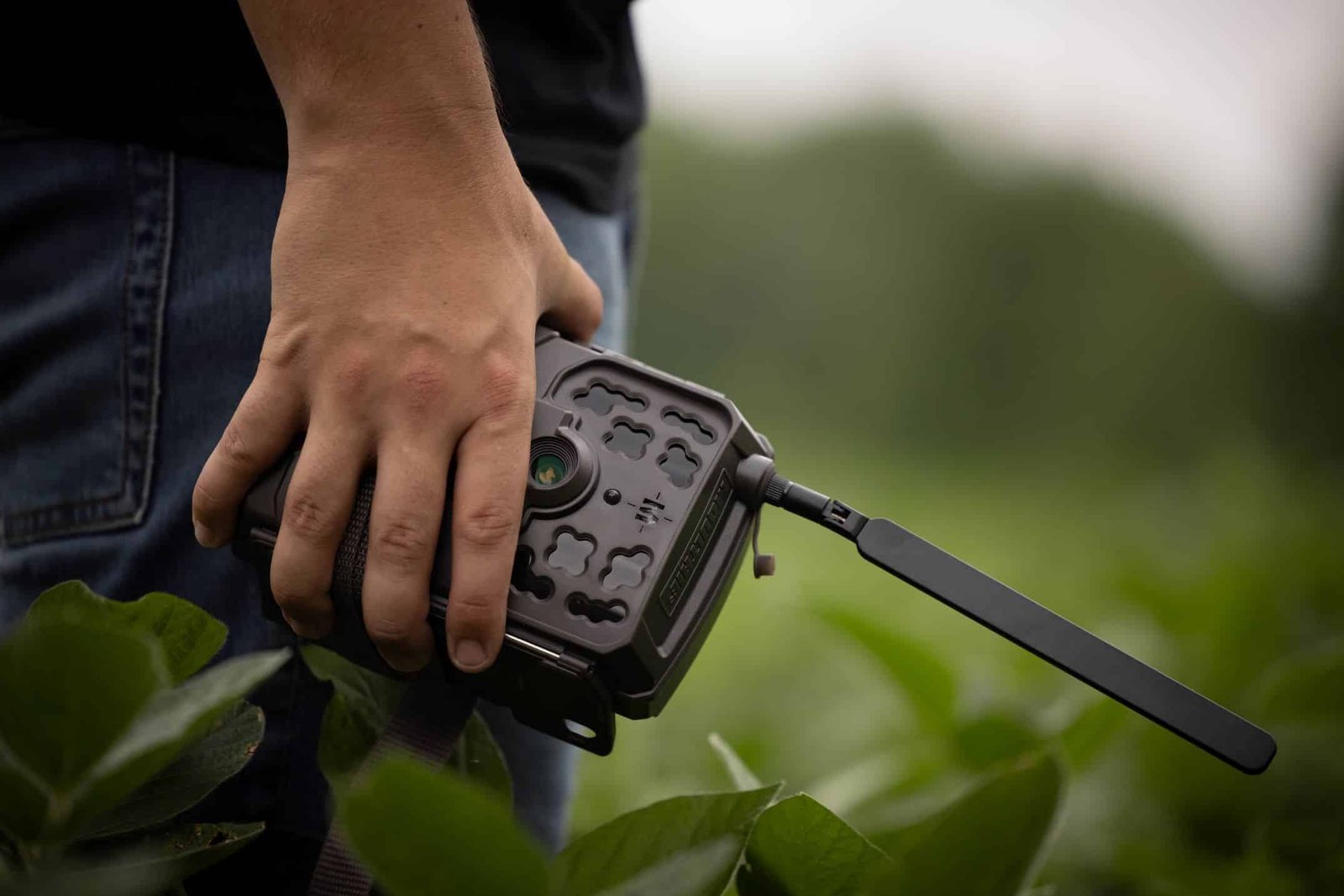 Moultrie Trail Camera Troubleshooting Guide for Common Issues