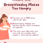 Graco Tranzitions vs Diono Radian