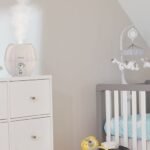 Graco Tranzitions vs Nautilus