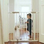 Are Sour Patch Kids vegan? Find out ingredients and Flavors