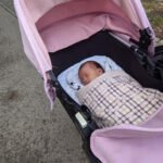 graco fast action jogger vs lx