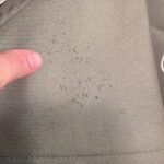 Summer Infant 3D Lite Vs Mini: Ultimate Stroller Showdown