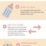 Uppababy Cruz Vs Vista: Which Stroller is Best?