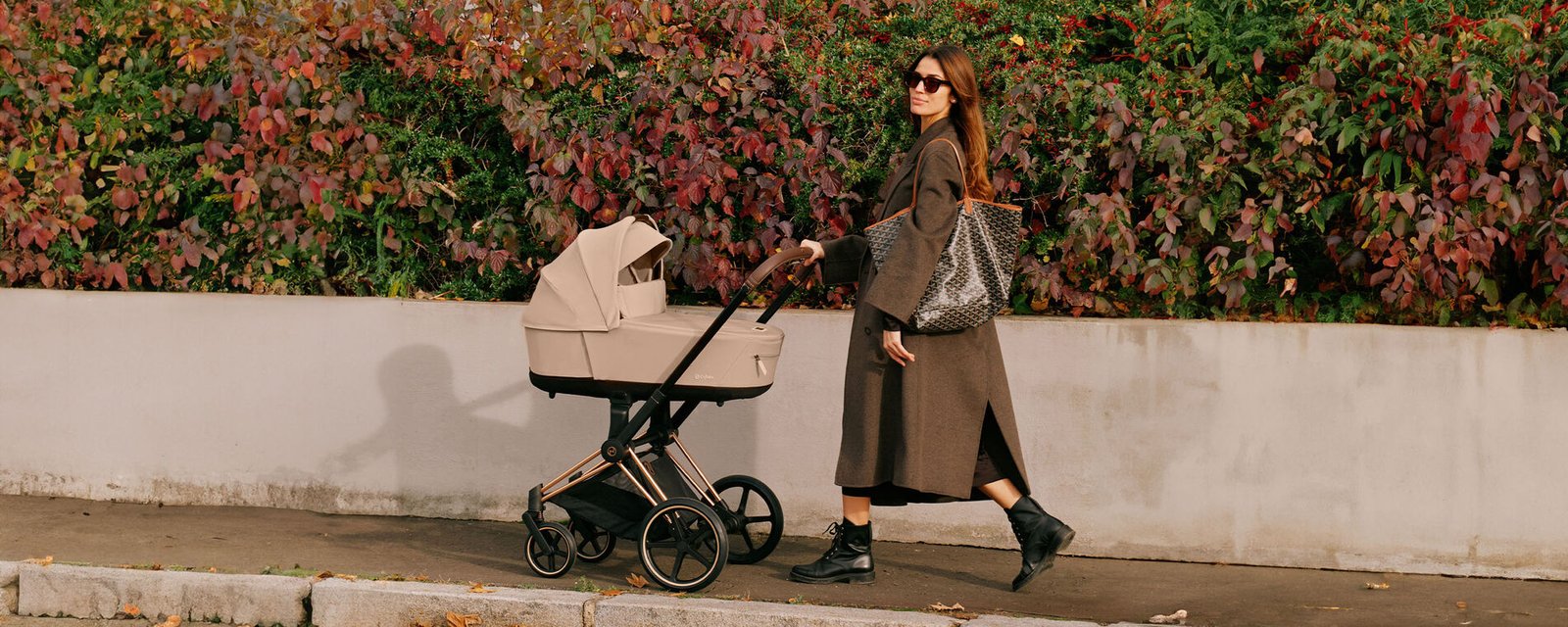 Which Stroller is Best for Me