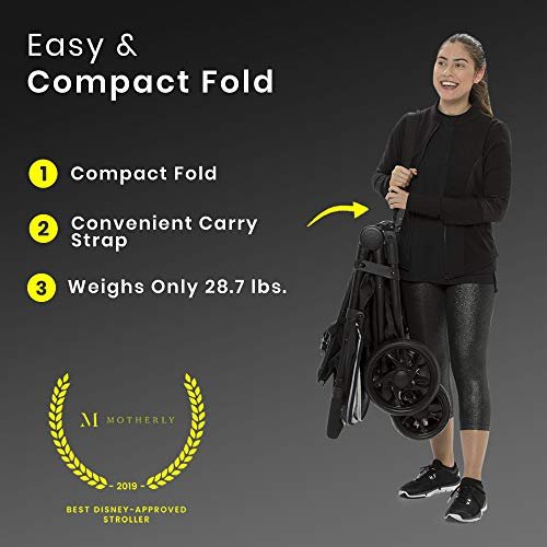 Best Double Stroller For Twins